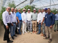 Exportaciones de tomate cherry hacia Estados Unidos consolidan crecimiento del sector; ministro de Agricultura destaca impacto económico y generación de empleos