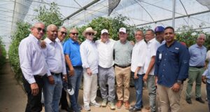 Exportaciones de tomate cherry hacia Estados Unidos consolidan crecimiento del sector; ministro de Agricultura destaca impacto económico y generación de empleos