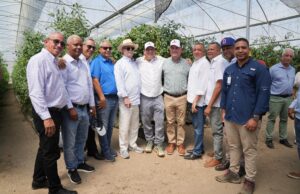 Exportaciones de tomate cherry hacia Estados Unidos consolidan crecimiento del sector; ministro de Agricultura destaca impacto económico y generación de empleos